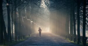 2023-11-06_193411-300x160 هل التمارين الصباحية مفيدة لخسارة الوزن؟