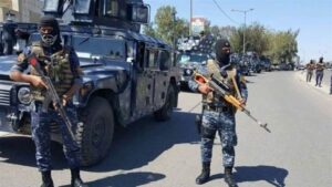 Doc-P-488415-638510917464960856-300x169 بعد 10 ساعات من انطلاقها.. عمليات "الطوايل وجكوك" تعتقل نحو 120 شخصًا