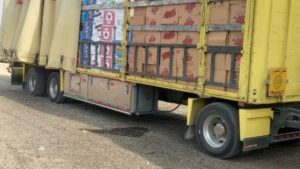 Doc-P-490178-638529960140824055-300x169 الكمارك تضبط 23 شاحنة محملة بمواد مخالفة للضوابط