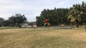 Doc-P-490897-638536986879324614-300x169 الأرض مخصصة لعمال النظافة.. مجلس النجف يلغي "متنزه" ويعيده لصفته السكنية
