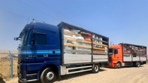 Doc-P-492599-638554173243282965-300x169 منح دور "واطئة الكلفة" للنازحين العائدين طوعاً إلى جنوب صلاح الدين