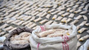 Doc-P-498124-638603350901730266-300x169 هل أصبح العراق ممرا لنقل المخدرات الى أوروبا؟