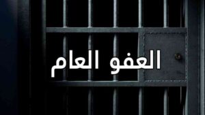 Doc-P-498953-638610314303837071-300x169 الكتل السنية تضغط بقوة.. "العفو العام" على طاولة مجلس النواب مجدداً
