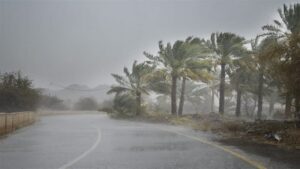 Doc-P-509220-638694940292987553-300x169 آخر 3 أيام دافئة في العراق.. صقيع وحرارة بالسالب مع بدء الأسبوع الجديد