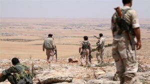 Doc-P-511849-638716657736239847-300x169 100 قتيل في معارك بين قسد وفصائل موالية لتركيا شمال سوريا