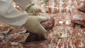 Doc-P-512484-638721343958829205-300x169 توضيح حول استيراد العراق لحم خنزير بمليار دينار