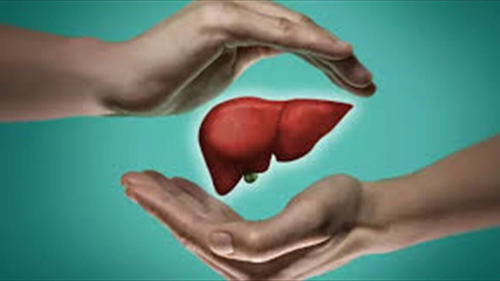 doc-p-513367-6387286458071789225273071086039540688-1024x576 ماهي العلامات التي تشير إلى وجود مشكلات في الكبد ؟
