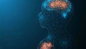 Doc-P-520090-638782242751318273-300x169 لتحسين الذاكرة وصحة القلب.. تناولوا هذه الفاكهة