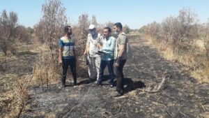 Doc-P-545855-638978314620553841-300x169 فاو: تدمير 80% من الأراضي الزراعية في غزة وتحذيرات من مجاعة وشيكة